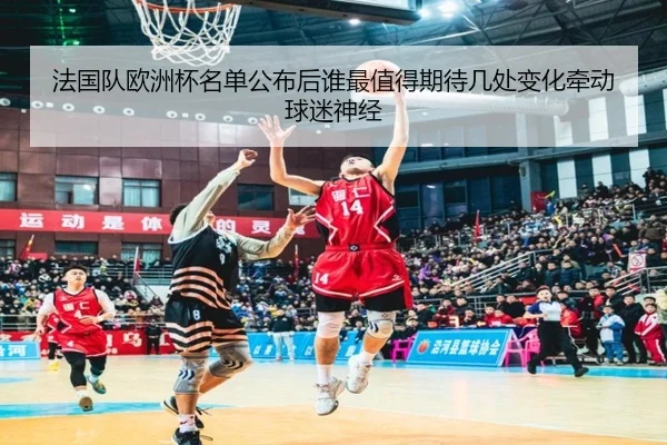 法国队欧洲杯名单公布后谁最值得期待几处变化牵动球迷神经