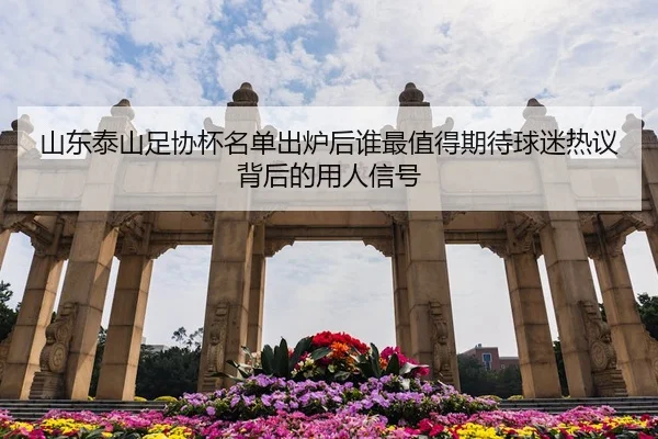 山东泰山足协杯名单出炉后谁最值得期待球迷热议背后的用人信号